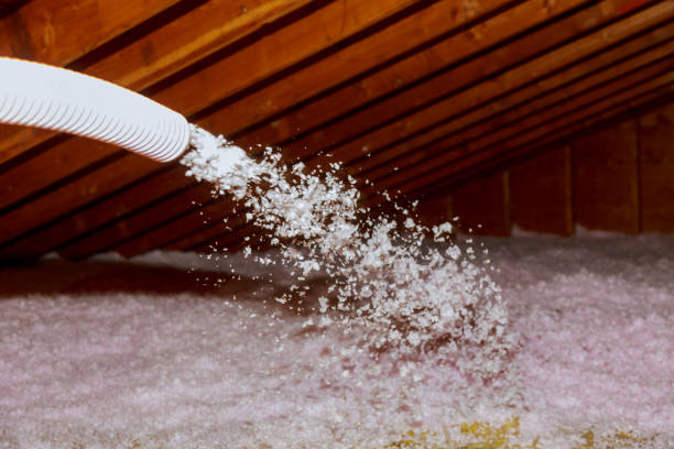 Types of Insulation We Offer in Port Labelle, FL