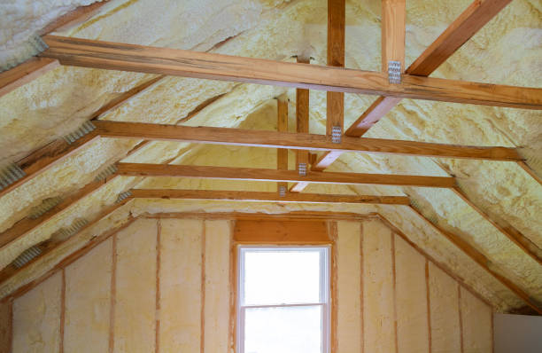 Types of Insulation We Offer in Port Labelle, FL