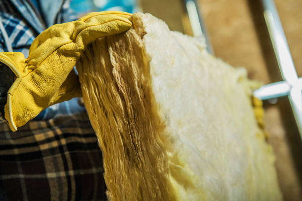 Best Insulation Maintenance and Repair in Port Labelle, FL
