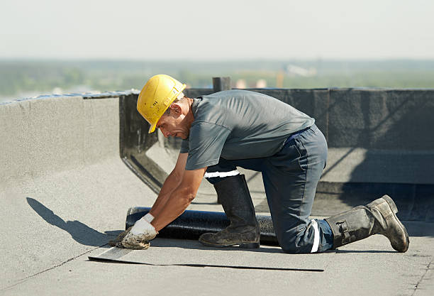 Best Eco-Friendly Insulation in Port Labelle, FL